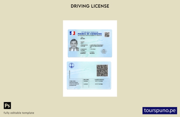 listo para imprimir la plantilla actual del permiso de conducir de Francia 1